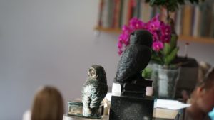 DSC02466.jpg
