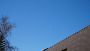 DSC02560.jpg