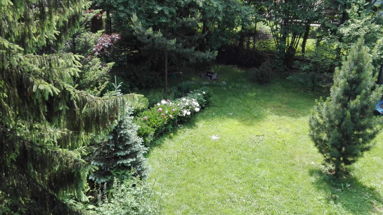 Załatw sprawę i posadź drzewo