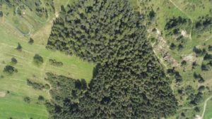 DJI_0036-1.jpg