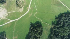 DJI_0040-1.jpg