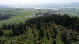 DJI_0054.jpg