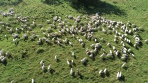 DJI_0233-Kopiowanie.jpg
