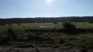 DJI_0248-Kopiowanie.jpg