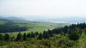 DSC05176-Kopiowanie.jpg