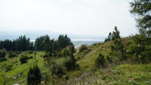 DSC05177-Kopiowanie.jpg