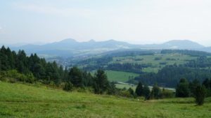 DSC05187-Kopiowanie.jpg