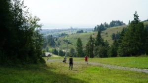 DSC05191-Kopiowanie.jpg