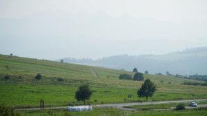 DSC05202-Kopiowanie.jpg