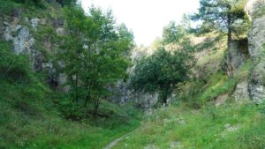 DSC05204-Kopiowanie.jpg