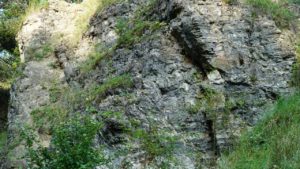 DSC05205-Kopiowanie.jpg