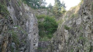DSC05206-Kopiowanie.jpg