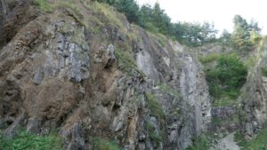 DSC05211-Kopiowanie.jpg