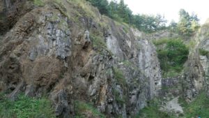 DSC05213-Kopiowanie.jpg