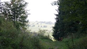 DSC05217-Kopiowanie.jpg