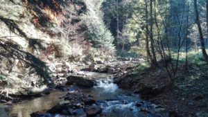 IMG_20181014_095044-Kopiowanie.jpg