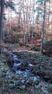 IMG_20181014_102341-Kopiowanie.jpg