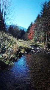 IMG_20181014_103536-Kopiowanie.jpg
