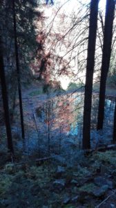 IMG_20181014_113707-Kopiowanie.jpg