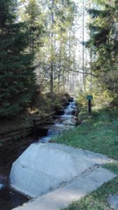 IMG_20181014_120457-Kopiowanie.jpg
