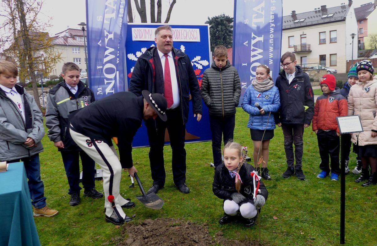 Dąb Niepodległości – „piątka” wdzięczna minionym pokoleniom