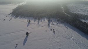 DJI_0019.jpg