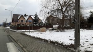 20190312_131252.jpg