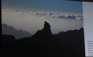 P3650687-1.jpg