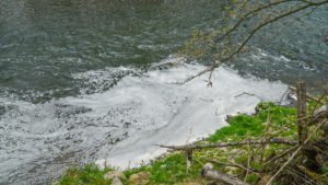 DSC04758-scaled.jpg