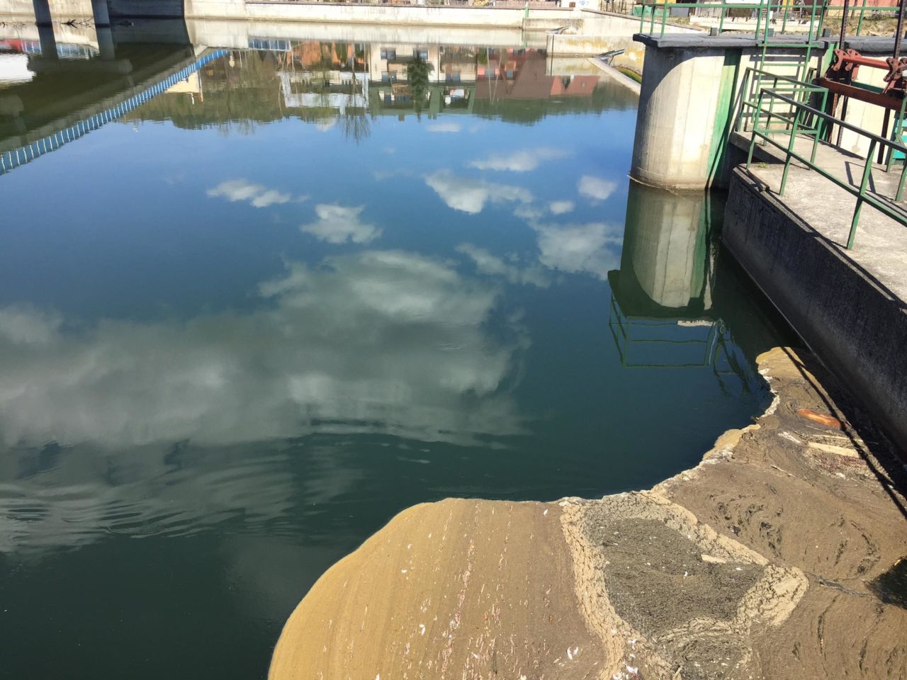 Zanieczyszczenie wody w Dunajcu?