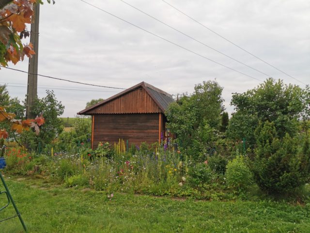 IMG_20200716_095504-Kopiowanie.jpg