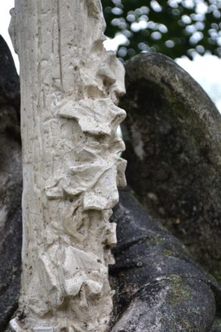 Michał-Kwieciński-1896-47.jpg