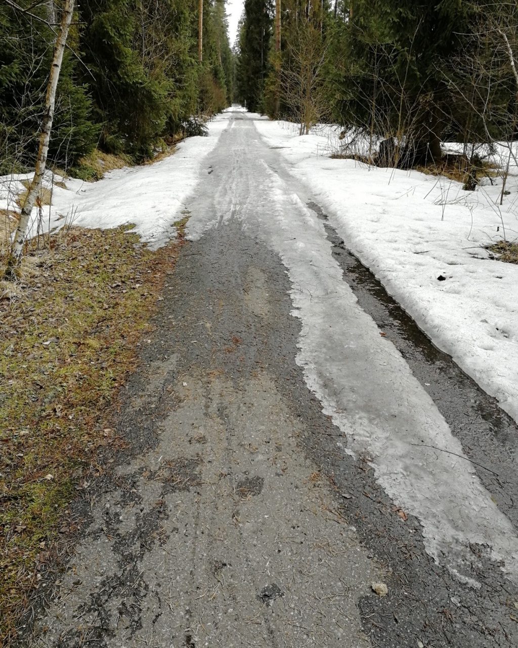 Ścieżki rowerowe w głębi lasu - wciąż pełne śniegu i lodu