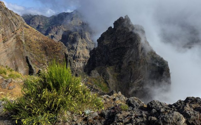 Madeira-1.jpg