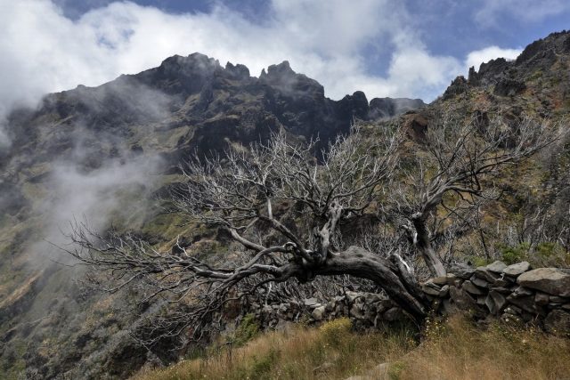 Madeira-3.jpg