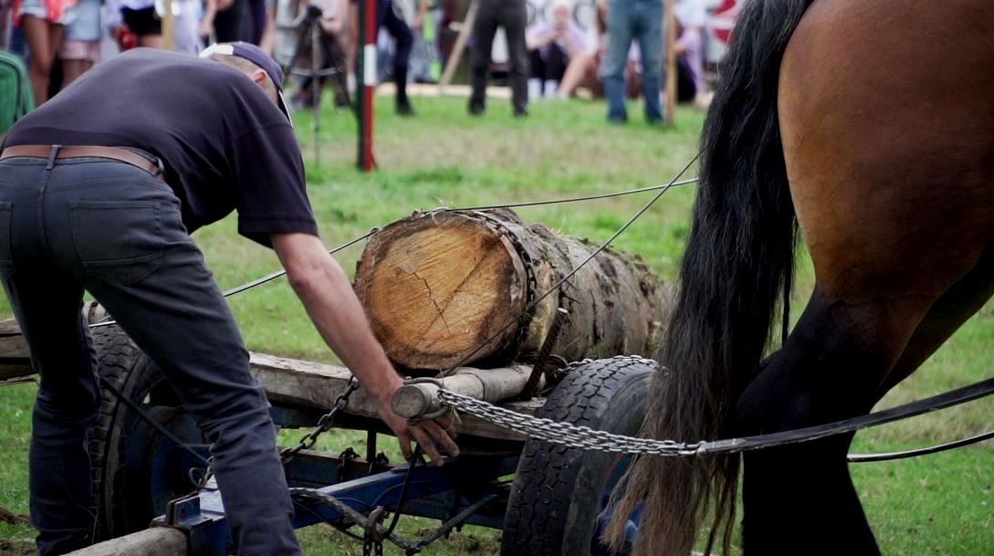 Końskie święto w Łopusznej – z mistrzostwami w zrywce drewna