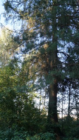DSC07893-Kopiowanie.jpg