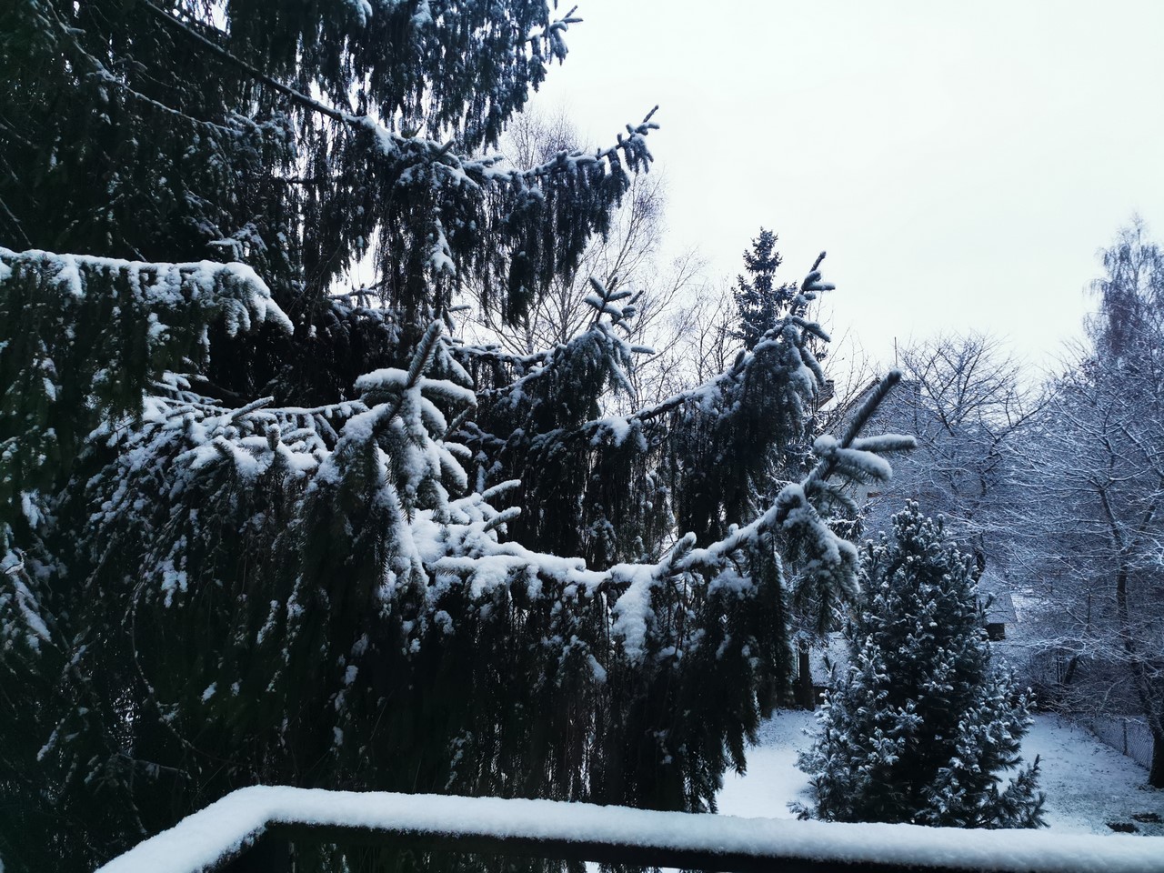 W Nowy Targu spadł pierwszy śnieg