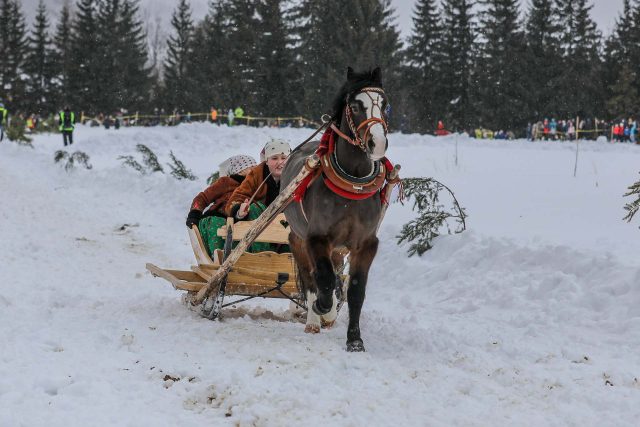 2022-02-06-Kumoterki-Koscielisko-35-scaled.jpg