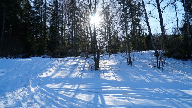 DSC01302-Kopiowanie.jpg