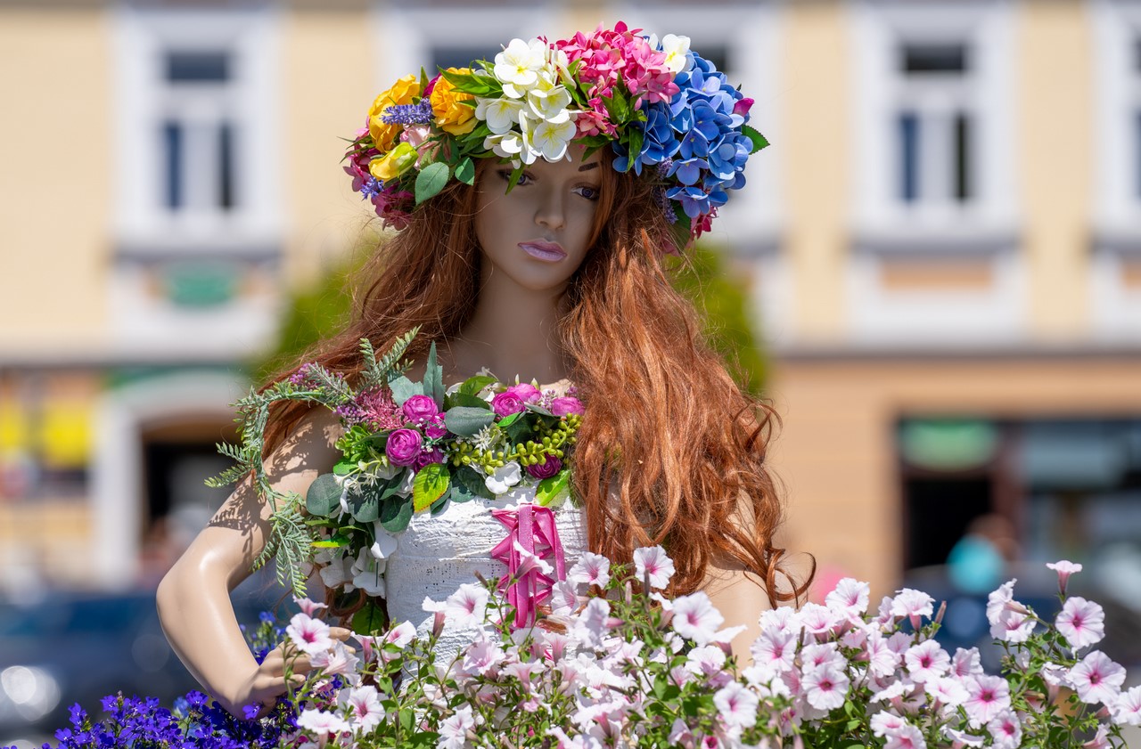Kwiatowa Dama powróciła na rynek w Nowym Targu