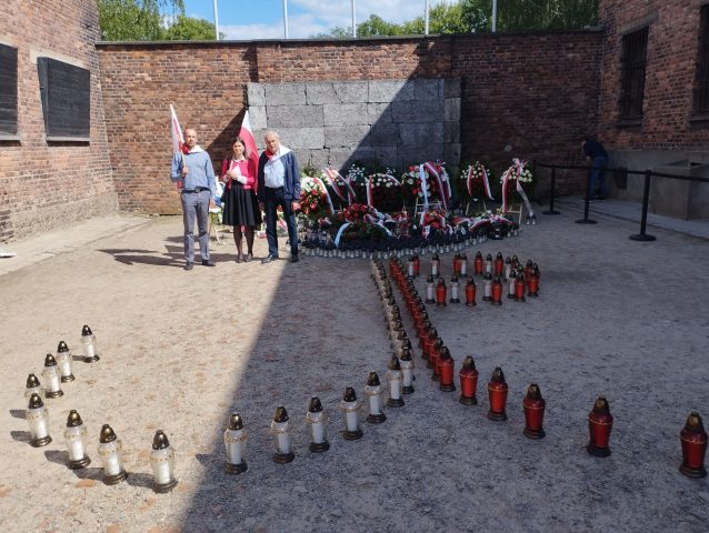 am-scaled.jpg
