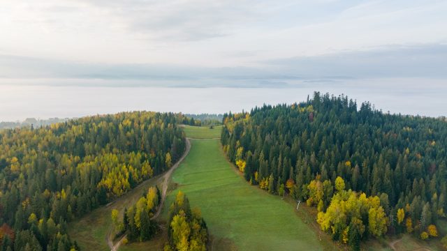 DJI_0446-HDR.jpg