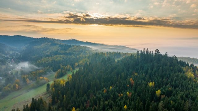 DJI_0461-HDR.jpg