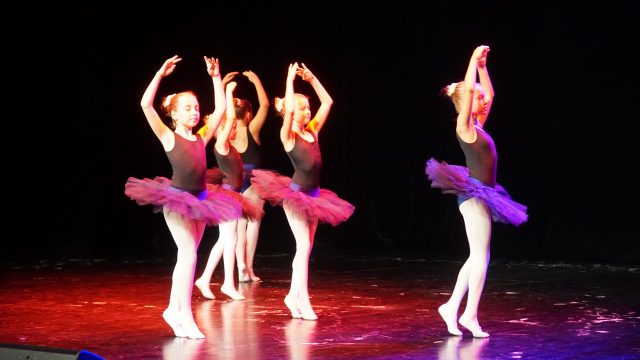 DSC03886.jpg