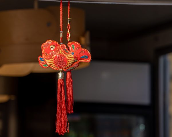 DSC07550.jpg