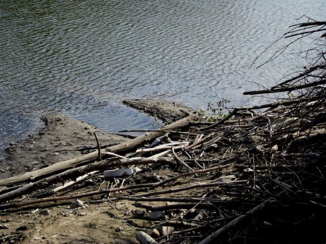 DSCF8141.jpg
