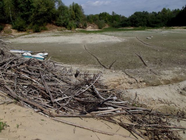 DSCF8622.jpg