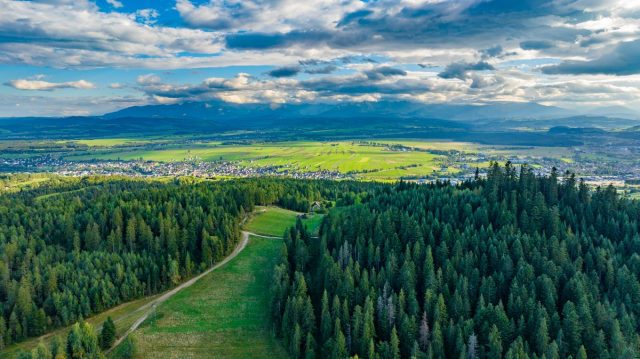 DJI_0501.jpg