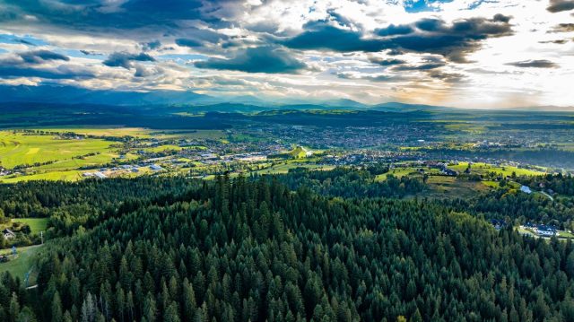 DJI_0502.jpg